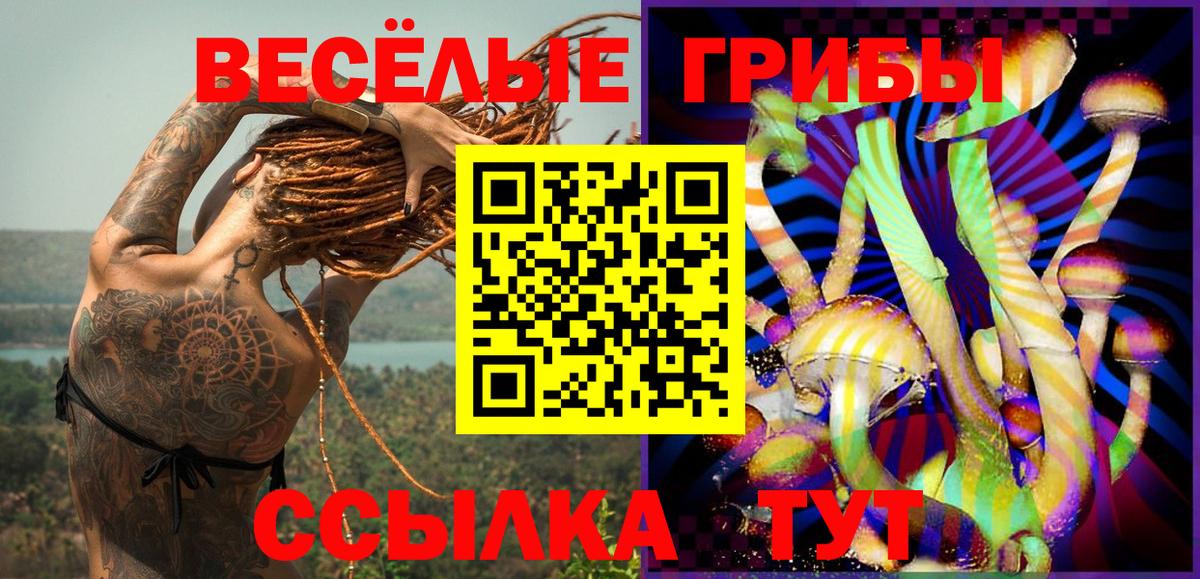 Галлюциногенные грибы GOLDEN TEACHER Дмитров