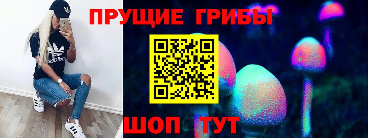 Галлюциногенные грибы MAGIC MUSHROOMS  Вход с VPN  где найти   Псилоцибиновые грибы Cubensis  Дмитров 